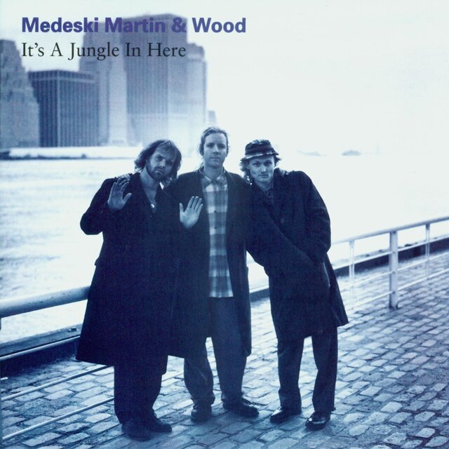 Cover art for album It's A Jungle In Here by Medeski, Martin & Wood