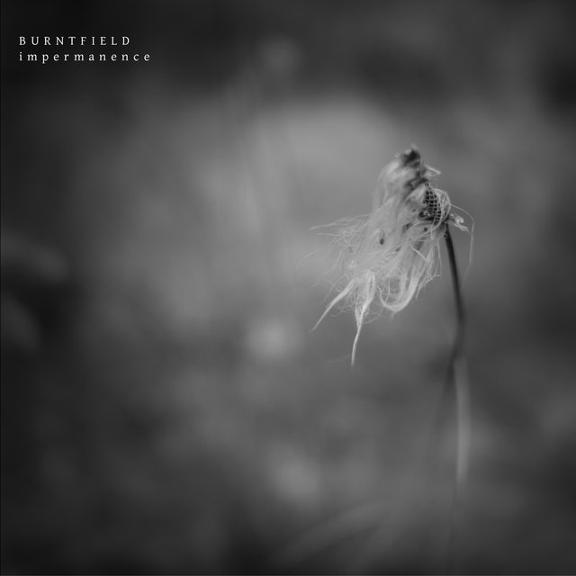 Cover art for album Impermanence by Burntfield