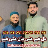 DIL HE ALI JAAN ALI HE