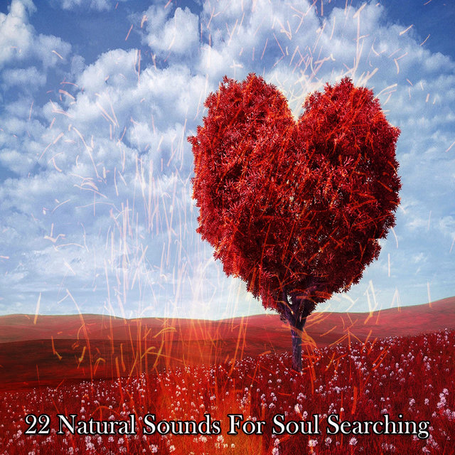 22 Natural Sounds For Soul Searching