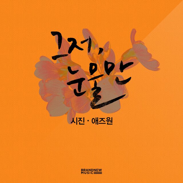 그저 눈물만