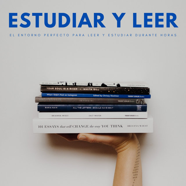 Estudiar Y Leer: El Entorno Perfecto Para Leer Y Estudiar Durante Horas