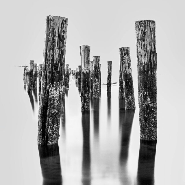 Im Schatten Des Heiligtums