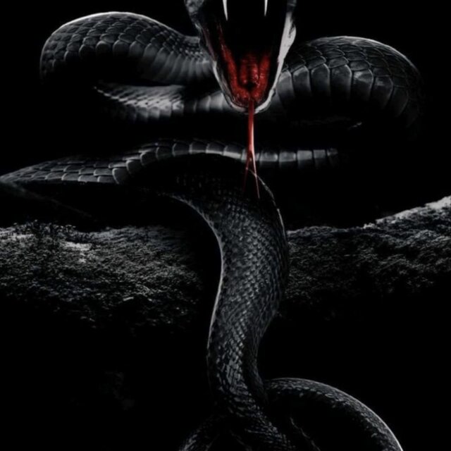 Don t talk to the snake. Don t talk to the snake