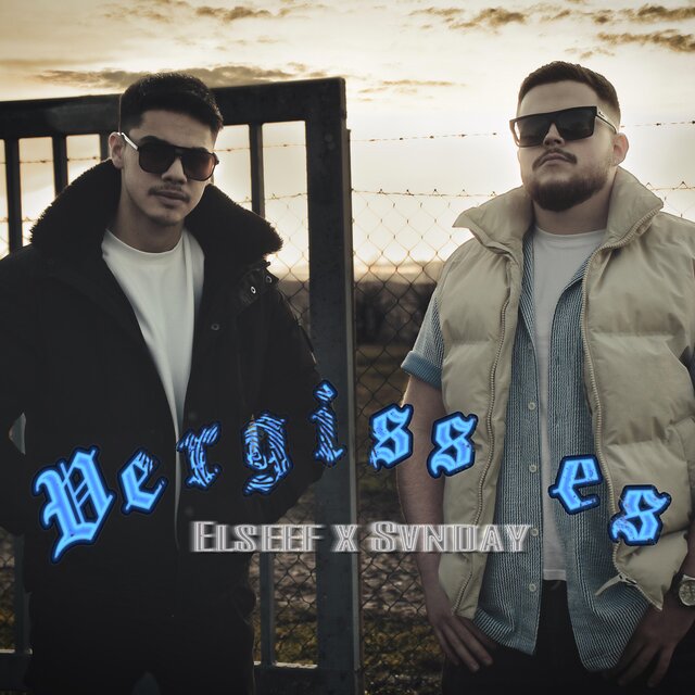 Vergiss es (feat. Elseef)