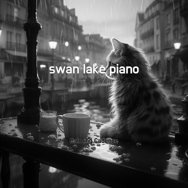 swan lake piano