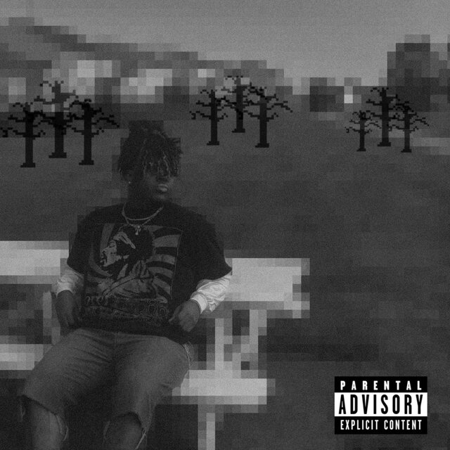 BONAFIDE DELUXE