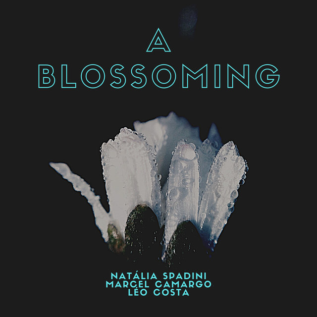 A Blossoming