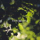 Sublime Ambiance for Relaxing Together