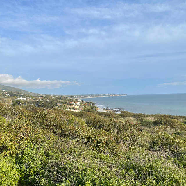 Malibu girl