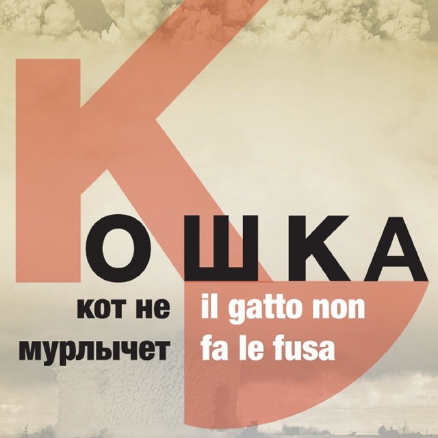 Il gatto non fa le fusa