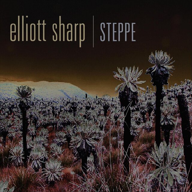Steppe