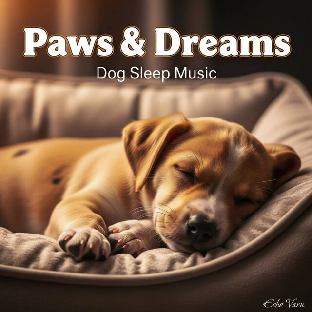Paws & Dreams - Dog Sleep Music