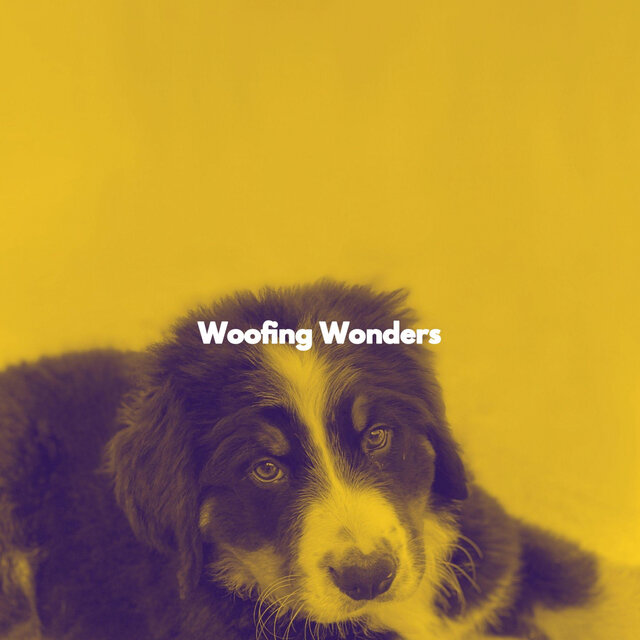 Woofing Wonders