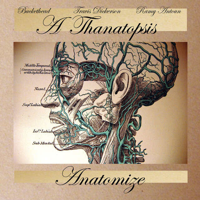 Anatomize