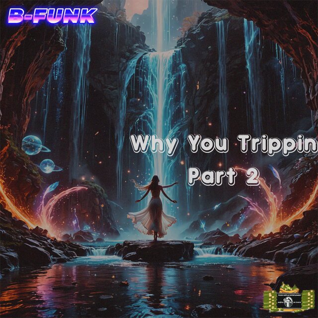 Why You Trippin, Pt. 2