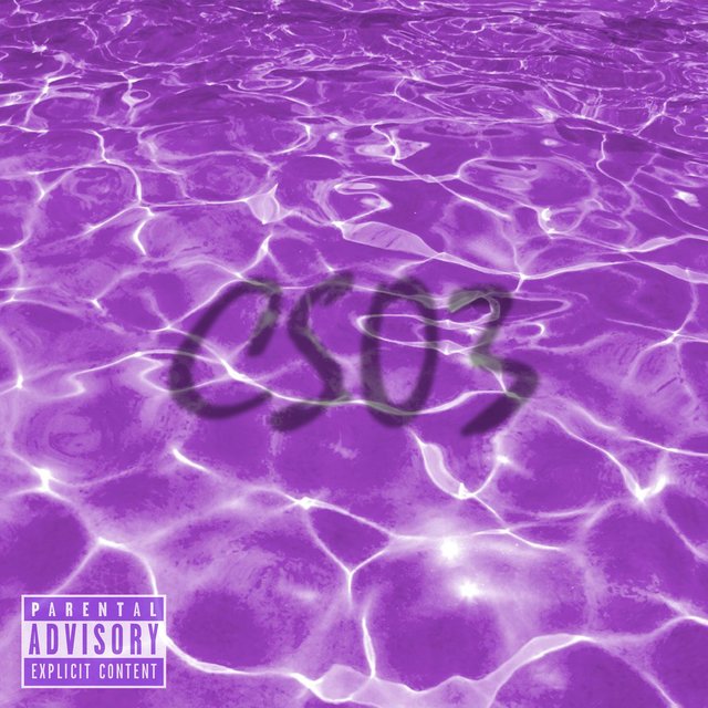 CS03
