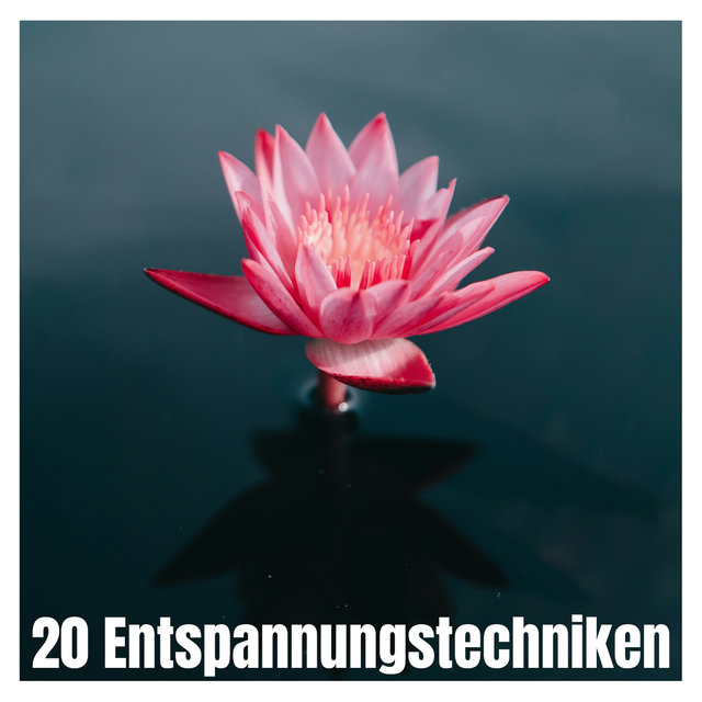 20 Entspannungstechniken - Musik zur Verringerung körperlicher und geistiger Anspannung