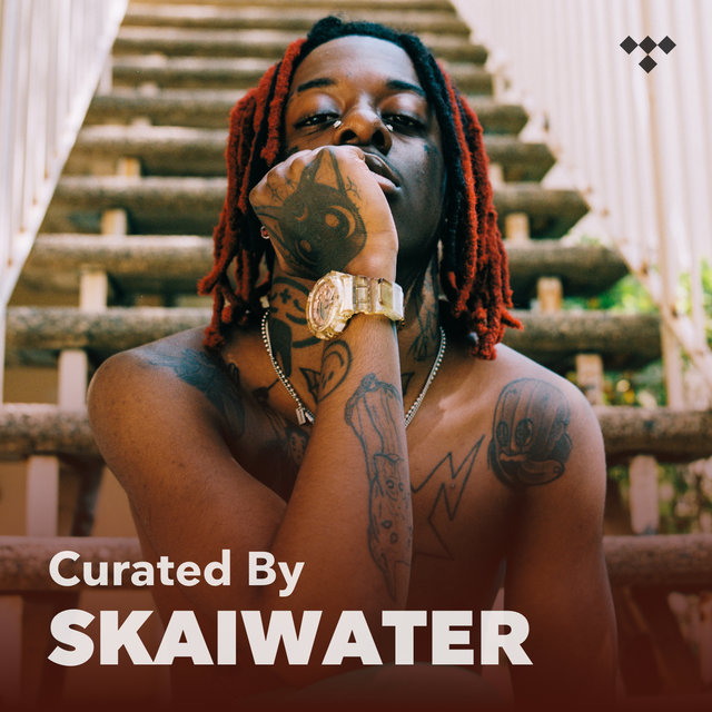 Curated By: Skaiwater