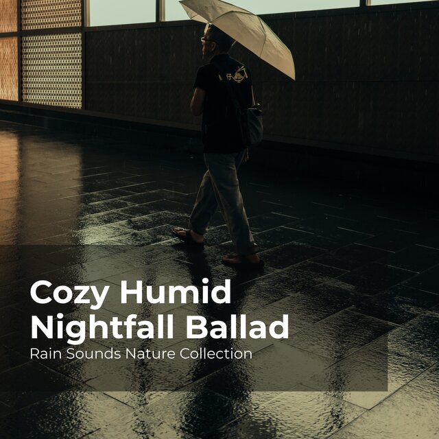 Cozy Humid Nightfall Ballad