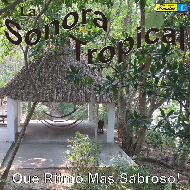 Que Ritmo Más Sabroso!