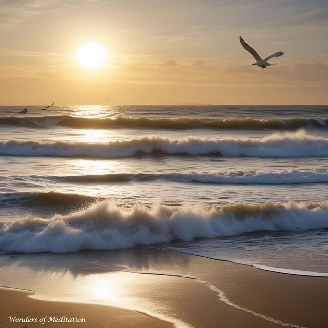 Sounds of Ocean