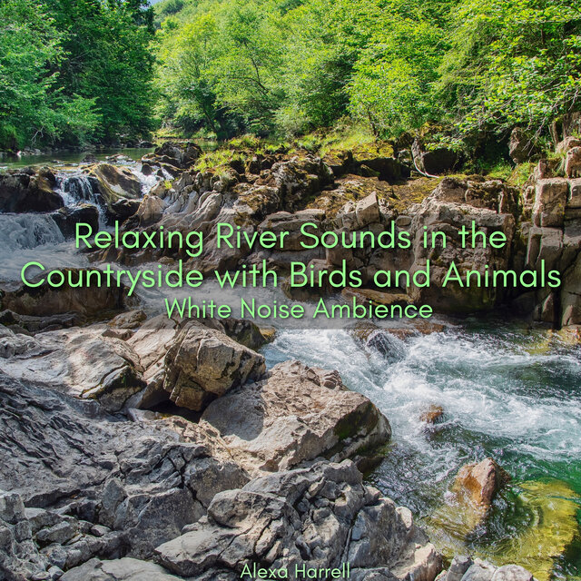 Relaxing River Sounds in the Countryside with Birds and Animals