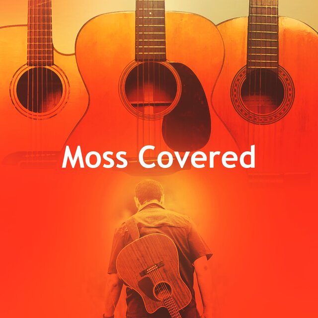 Moss Covered