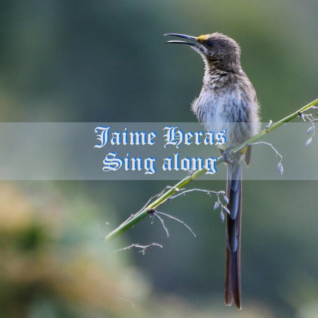 Sing along