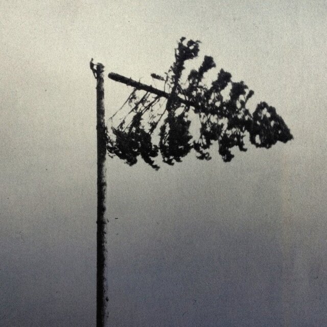 Decay