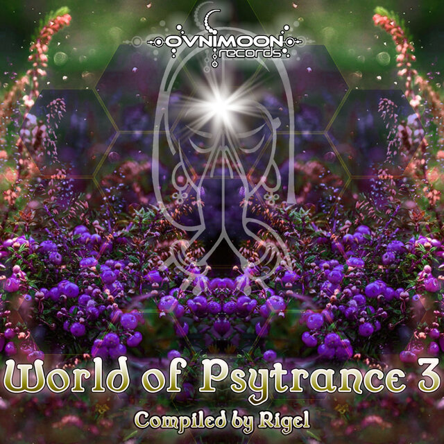 World Of Psytrance, Vol. 3