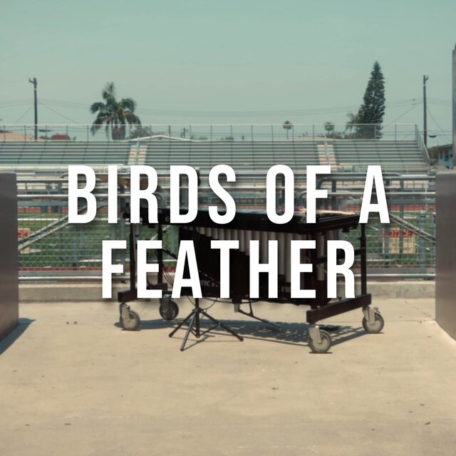 BIRDS OF A FEATHER - PERCUSSION VERSION