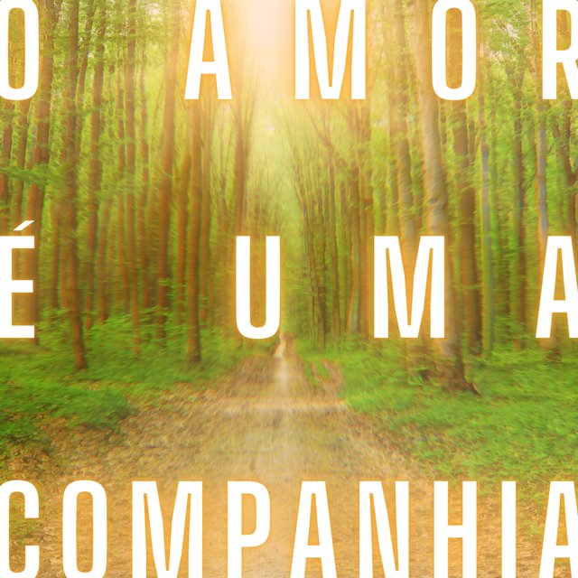 O Amor É uma Companhia