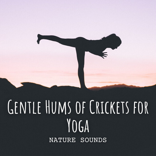 Nature Sounds: Gentle Hums of Crickets for Yoga