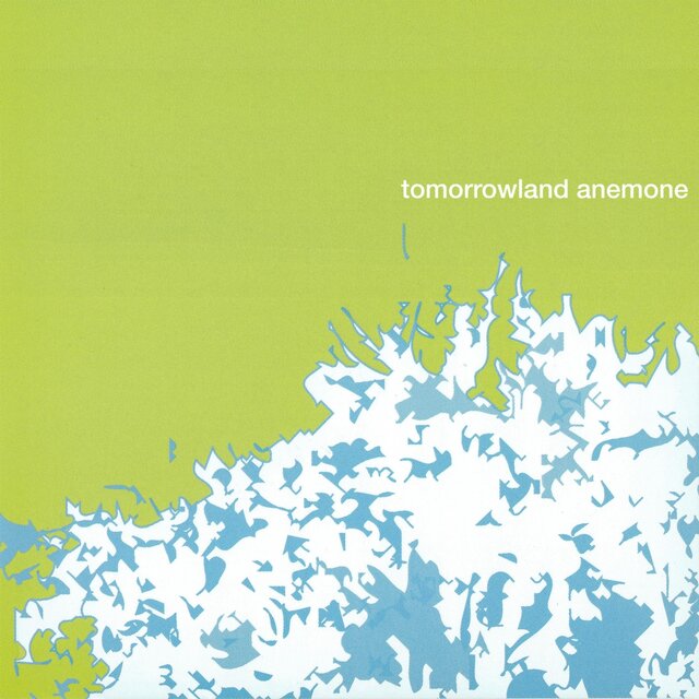 Anemone
