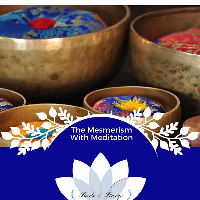 The Mesmerism With Meditation
