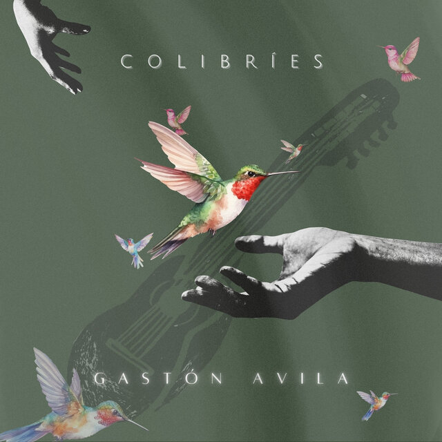 Colibríes
