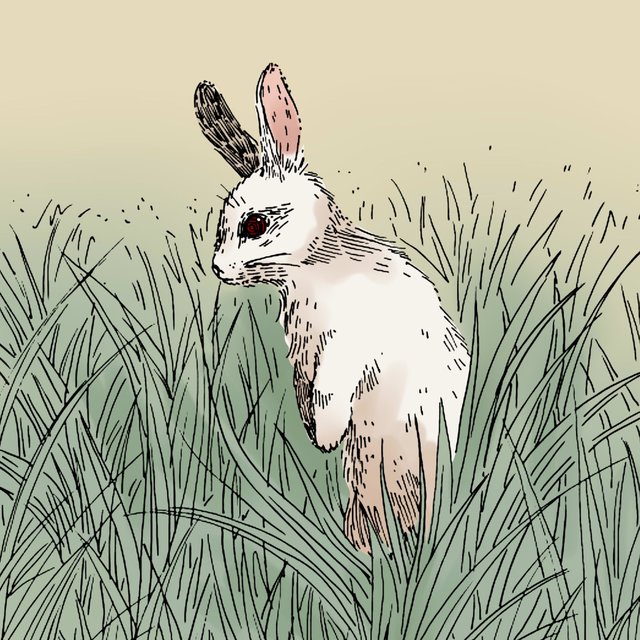 Rabbit/Mindworm