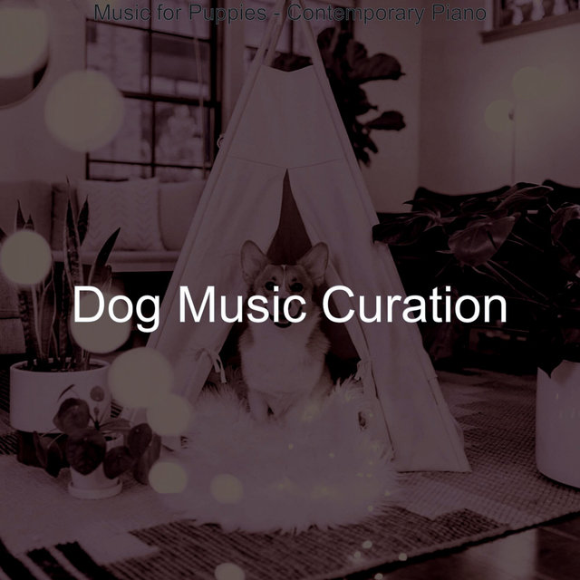Music for Puppies - Contemporary Piano