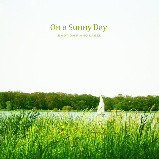 On a Sunny Day