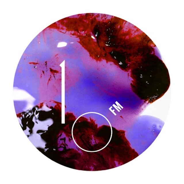 10 (A Decade of Feral Media)
