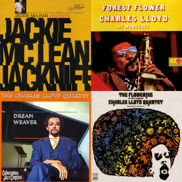 #017 - Jack DeJohnette - The Groove Index