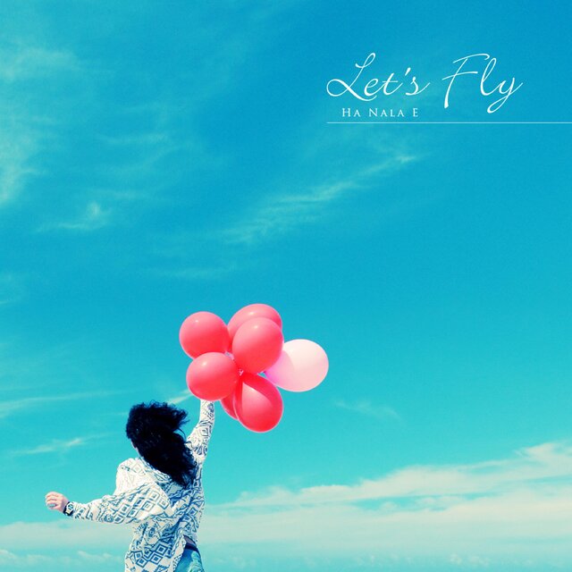 Fly in the sky