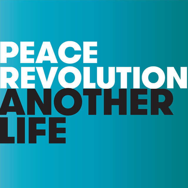 Another Life