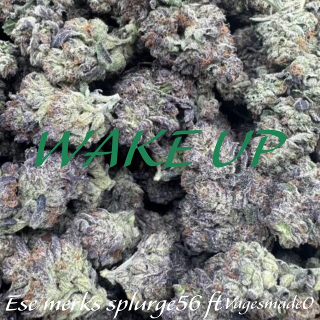 Wake Up