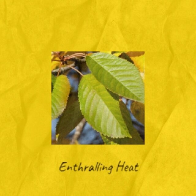 Enthralling Heat