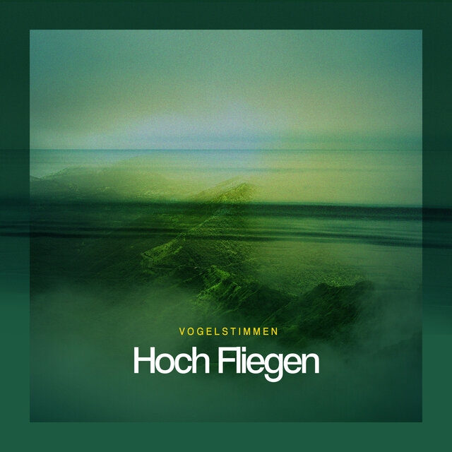 Hoch Fliegen