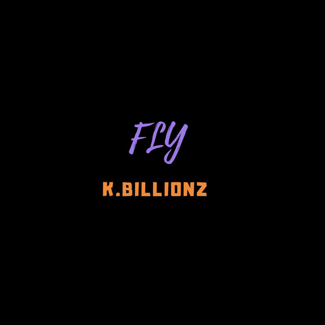 Fly