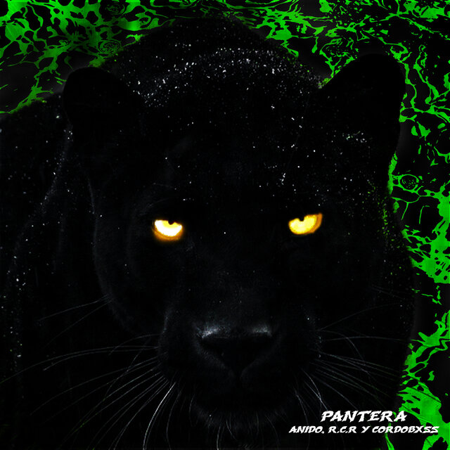 Pantera