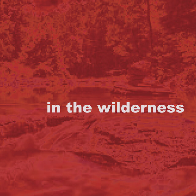 In the Wilderness